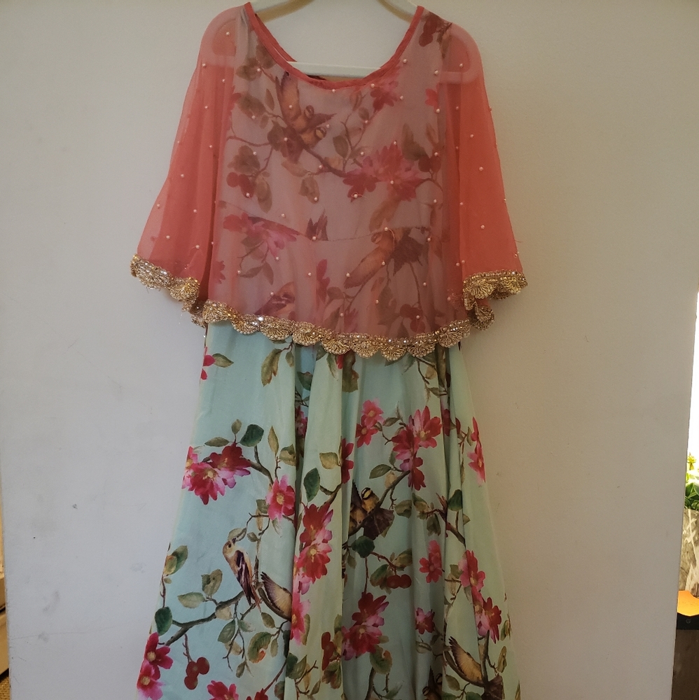Indian/pakistani dress